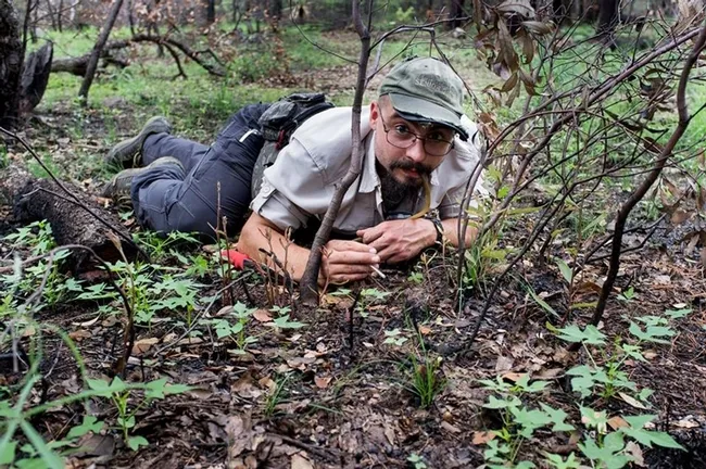 Myrmecologist Brendon Boudinot in the field. This was taken at the Southwest Research Station in the Chiricahua Mountains near Portal, Ariz., by Roberto Keller, National Museum of Natural History and Science, Portugal.