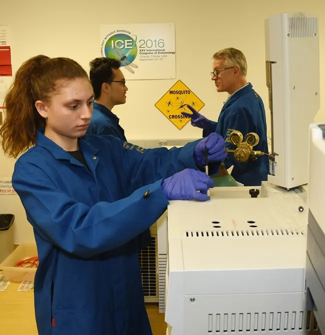 Researcher and lead author Helena Leal, 17, a scholar at Davis High School, injects a sample of odorants trapped in a solid phase micro-extraction syringe intothe gas chromatography–mass spectrometry (GC-MS) in the Walter Leal lab at UC Davis. In back are chemical ecologist Walter Leal (right) and UC Davis student researcher Kaiming Tan. (Photo by Kathy Keatley Garvey)