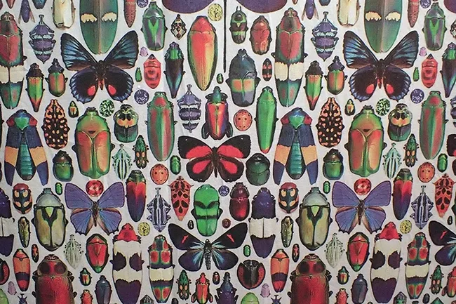 Fabric at the Design Museum definitely says "It's Bugged!" (Photo by Kathy Keatley Garvey)