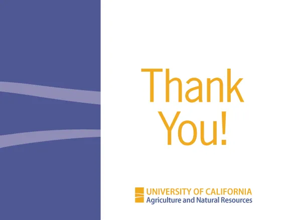 New Thank You Version 2