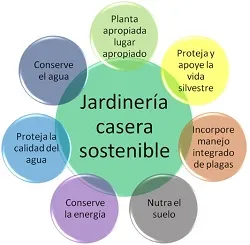 Jardinería casera sostenible