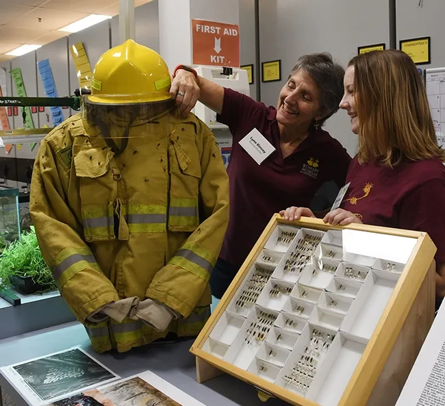 Lynn Kimsey, director of the Bohart Museum of Entomology and animal biology major Crystal Homicz look at the turncoat covered with pinned beetles. (Photo by Kathy Keatley Garvey)