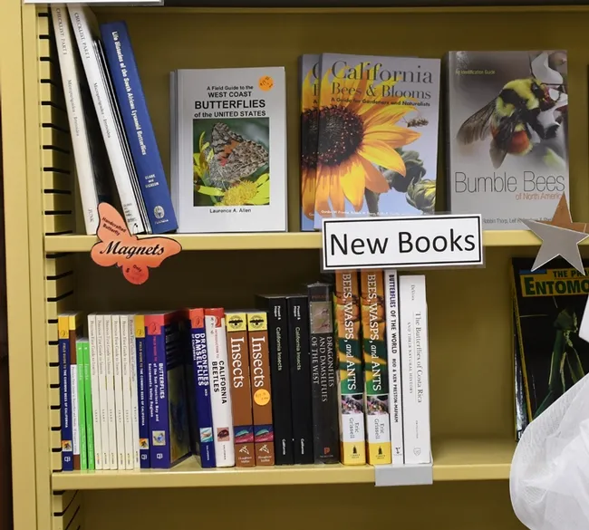 Robbin Thorp is the co-author of two books that line the gift shop of the Bohart Museum of Entomology: Bumble Bees of California: An Identification Guide (2014, Princeton University Press) and California Bees and Blooms: A Guide for Gardeners and Naturalists (2014, Heyday Books). (Photo by Kathy Keatley Garvey)