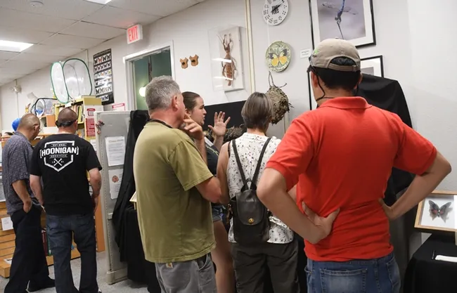 Bohart associate and UC Davis student Emma Cluff (back) talks about a hornet's nest. (Photo by Kathy Keatley Garvey)