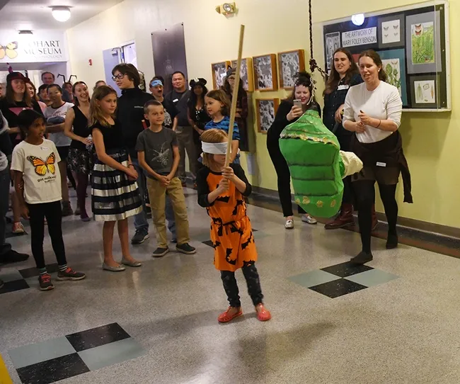 Ready, set, swing! The monarch piñata is fair game. (Photo by Kathy Keatley Garvey)