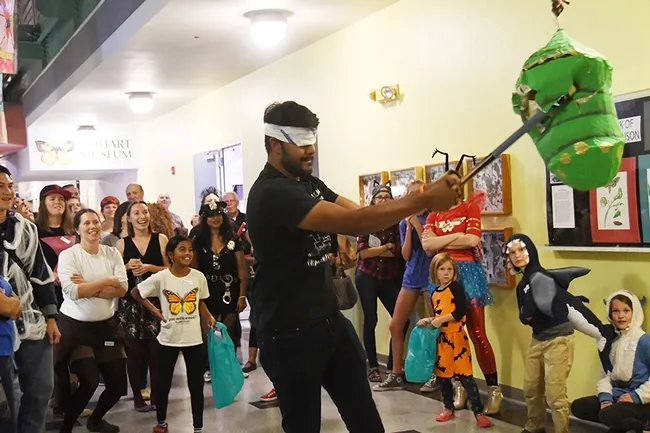 UC Davis entomology student Lohit Garikipati gives it his all. (Photo by Kathy Keatley Garvey)