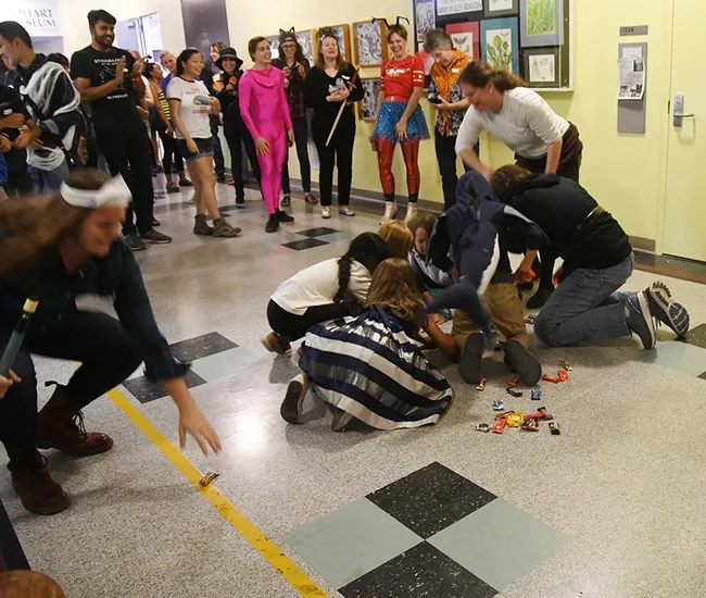 The scramble for the candy! The monarch chrysalis with the parasitoid protrusion is no more! (Photo by Kathy Keatley Garvey)