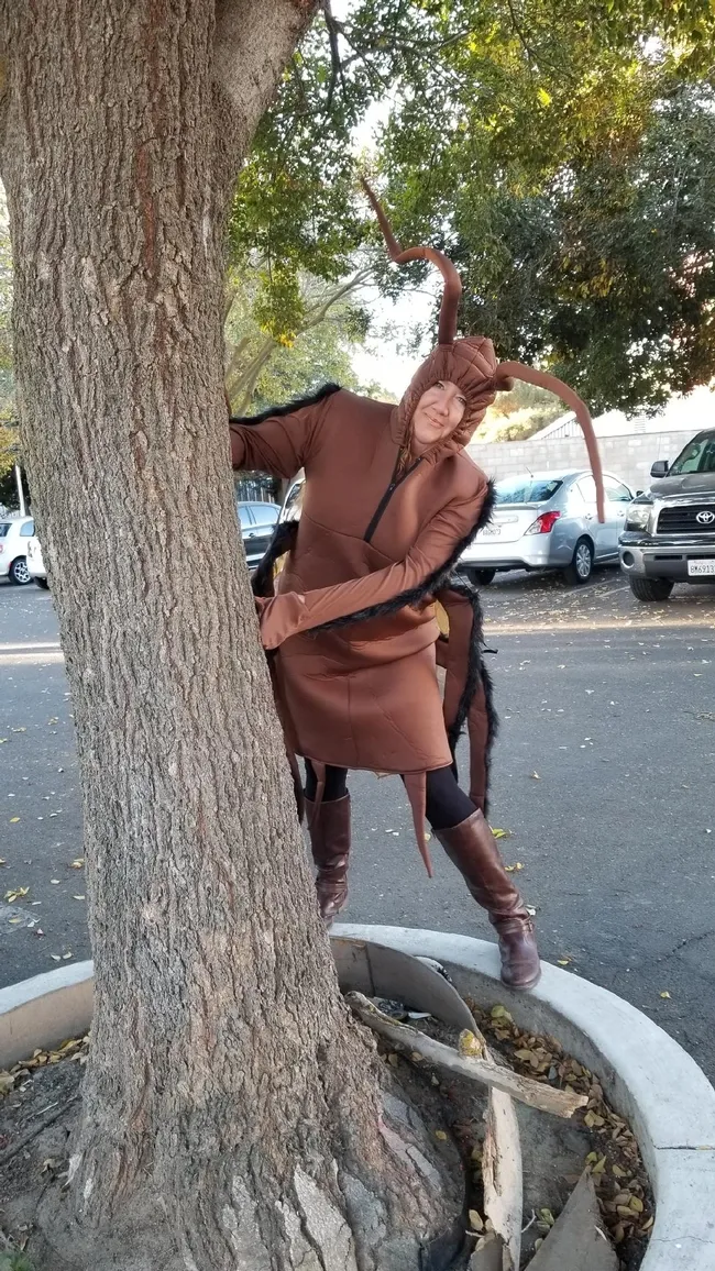 Karey Windbiel-Rojas of the UC Statewide Integrated Pest Management Program (UC IPM), plans to wear this cockroach costume to the Bohart Museum of Entomology open house on Sunday, Nov. 18, when she will greet visitors and answer questions. An urban entomologist expert, she's the associate director for Urban and Community IPM who serves as the area urban IPM advisor for Yolo, Sacramento and Solano counties.