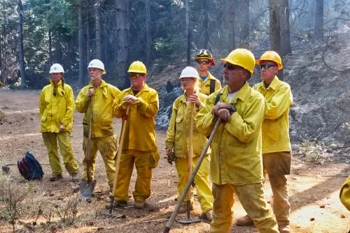Participants at a University of California Cooperative Extension with their hand tools (including shovels, Pulaskis, and McCleods) are getting ready to cut fire line so that a prescribed fire will not escape containment. (Photo: Ames Gilbert)