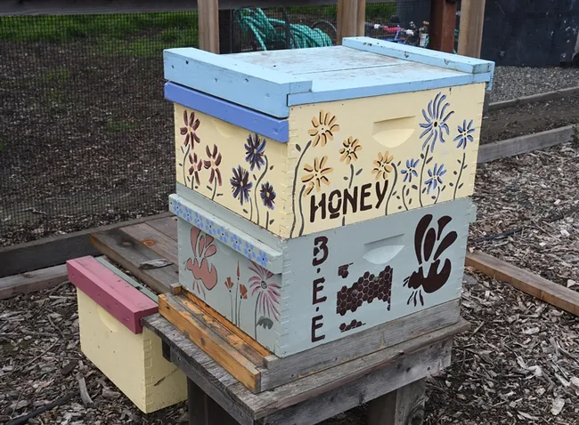 A colorful--and viable--bee hive at the Häagen-Dazs Honey Bee Haven. Bees don't usually fly until the temperature hits 55 degrees. (Photo by Kathy Keatley Garvey)