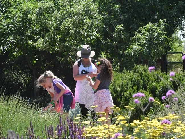 Children enjoying the Häagen-Dazs Honey Bee Haven. (Photo by Kathy Keatley Garvey)