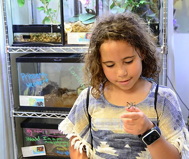 McKenzie Kennedy, 8, granddaughter of UC Davis employee Sherly Blackshire, proudly holds a stick insect. (Photo by Kathy Keatley Garvey)