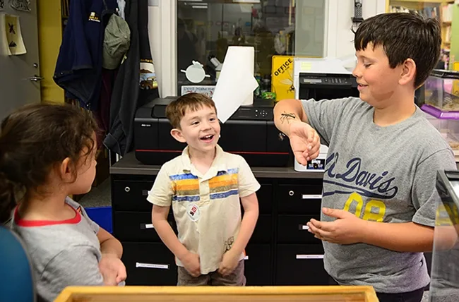 C. J. Babowal (center), 5, delights in seeing a stick insect on the arm of his brother, Roger Babowal, 9. At left is Katie Eting,6. The boys' mother, Crystal Babowal, works in UC Davis Continuing Education. Katie's mother, Jennifer Eting, works in Finance Operations and Administration. (Photo by Kathy Keatley Garvey)