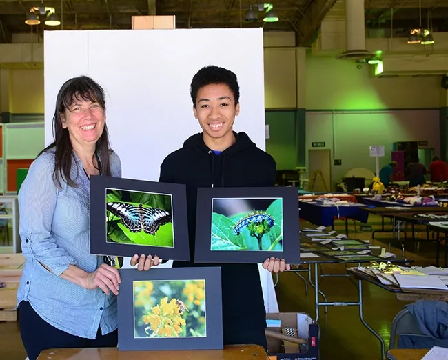 Insects, we have insects! Gloria Gonzalez, superintendent of McCormack Hall and assistant Jarod Fernander show some of the insect-themed entries. The butterfly is a Blue Xlipper, Parthenos sylvia ssp. lilacinus, from southeast Asia, as identified by Art Shapiro, UC Davis distinguished professor of evolution and ecology. In the background are entries ready to be judged or displayed. The fair runs June 27-30. (Photo by Kathy Keatley Garvey)