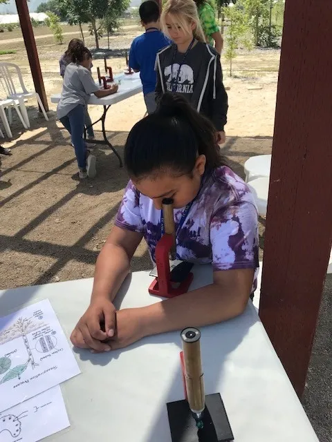 evapotranspiration activity