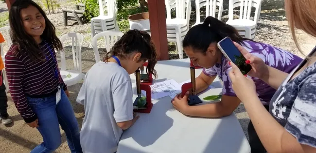 evapotranspiration activity