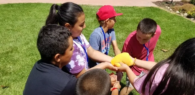 water conservation-getting water from point A to point B without waste