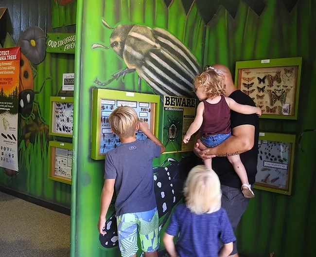 A family admires the honey bee observation hive in the California State Fair's Insect Pavilion. (Photo by Kathy Keatley Garvey)