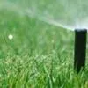 Close-up of a black lawn sprinkler spraying mist over vibrant green grass.