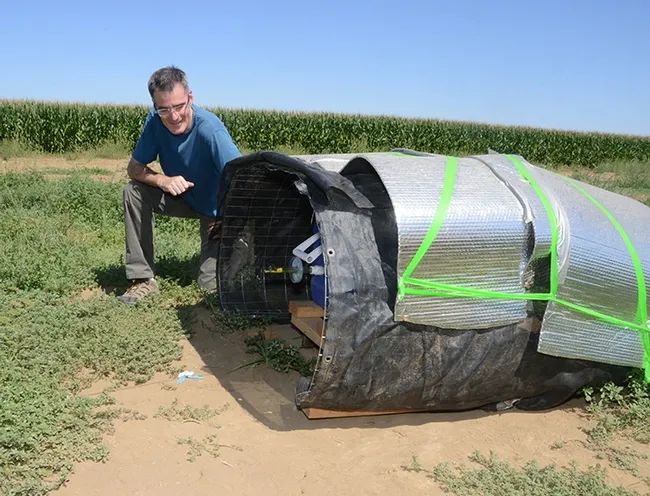 Neal Williams, newly elected Fellow of the California Academy of Sciences, is "widely known and respected for his excellence in research, extension, outreach, teaching and leadership," wrote nominator James R. Carey. Here Williams works on a bumble bee project. (Photo by Kathy Keatley Garvey)