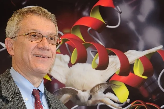 UC Davis chemical ecologist and distinguished professor Walter Leal will deliver the Founders' Memorial Lecture on Thomas Eisner on Nov. 19 at the ESA meeting in St. Louis, Mo. (Photo by Kathy Keatley Garvey)