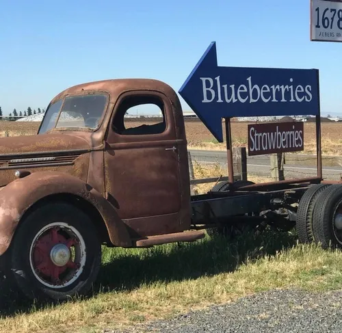 Blueberry arrow sign on old truch