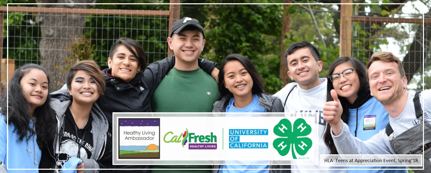 hla web teen banner 2020