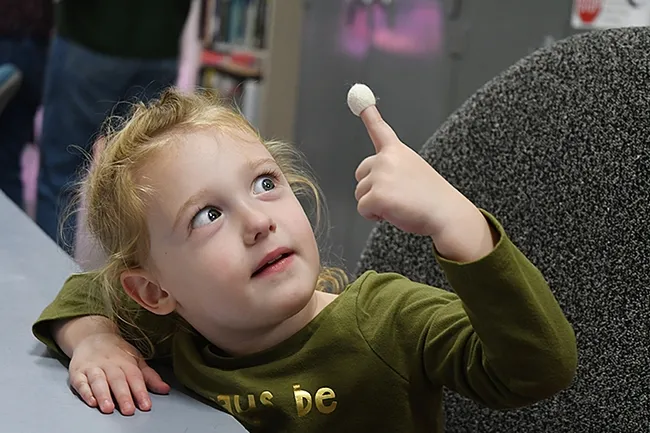 Cora Tatum, 3, of Davis, checks out her newly created finger puppet--a silkworm cocoon. (Photo by Kathy Keatley Garvey)