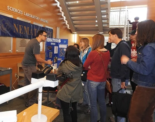 Doctoral student Chris Pagan shows nematodes to visitors at the Nematode Collection in the Sciences Lab Building off Kleiber Hall Drive. (Photo by Kathy Keatley Garvey)