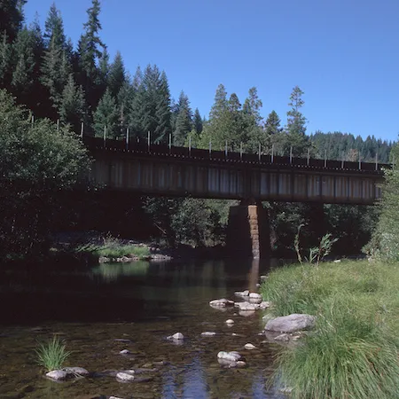 Under a railroad overpass is a clear slow moving river with heavy vegetation on banks. Credit: Jack Kelly Clark, UC IPM.
