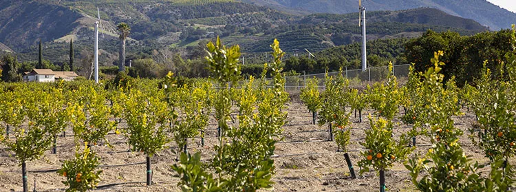 Photo-12Mar2020 Wrkshp Flyr 750x279x300dpi