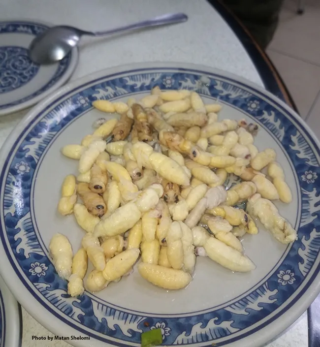 A blue plate special: larvae of the Asian giant hornet. This image is of food served in a restaurant in eastern Taiwan. (Photo by Matan Shelomi)