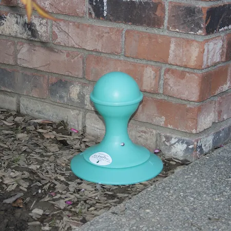 A green ant bait dispenser placed on the soil and mulch in the shade next to a red brick wall. Cheryl Reynolds, UC IPM.