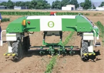 Vegetable weeder is demonstrated at Weed Day at UC Davis. (photo credit: Bob Johnson)
