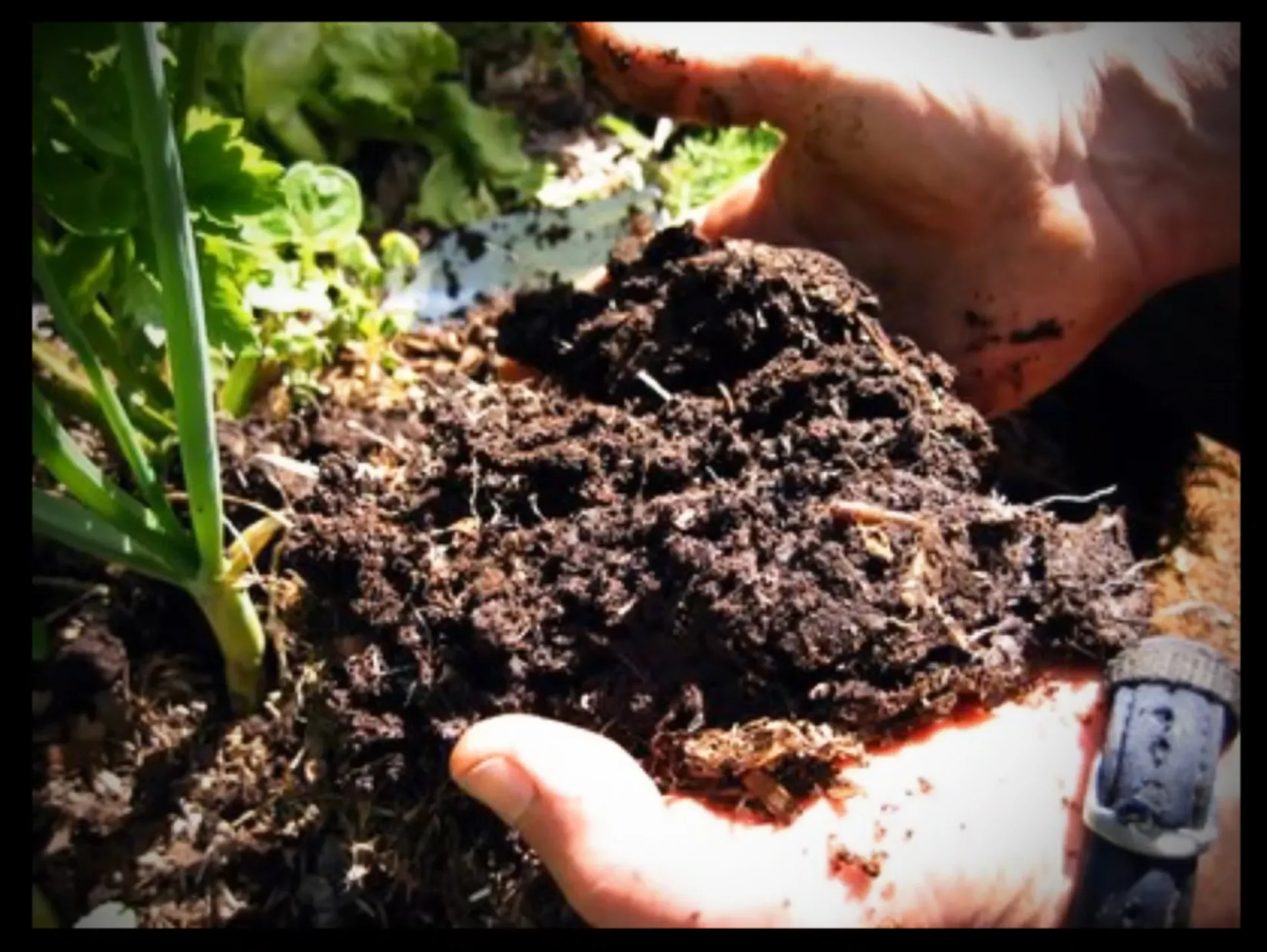 Photo for Soil workshop by unknown