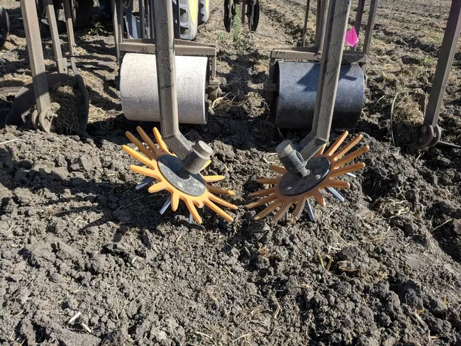 Finger weeder implement