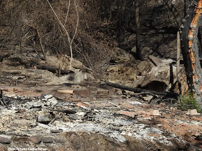 Homes and wildlife habitat were destroyed in the Aug. 19th Vacaville fire that roared through Gates Canyon. This image was taken Sept. 25, 2020. (Photo by Kathy Keatley Garvey)
