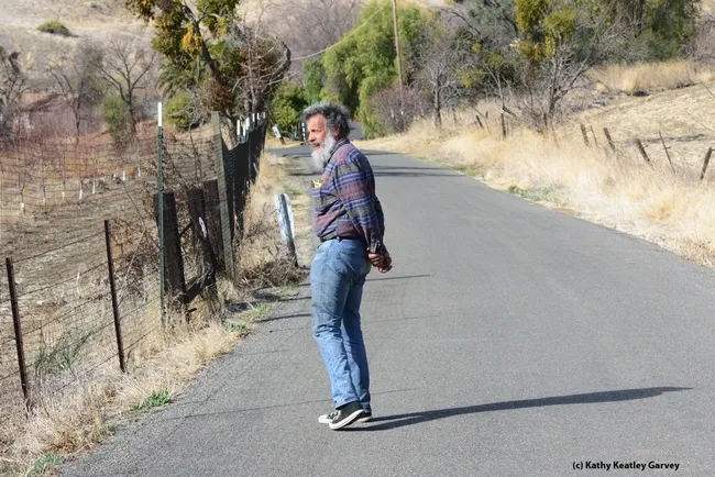 UC Davis distinguished professor Art Shapiro monitoring the butterfly population in Gates Canyon, Vacaville, on Jan. 25, 2014. Gates Canyon is one of his 11 transects along I-80. (Photo by Kathy Keatley Garvey)
