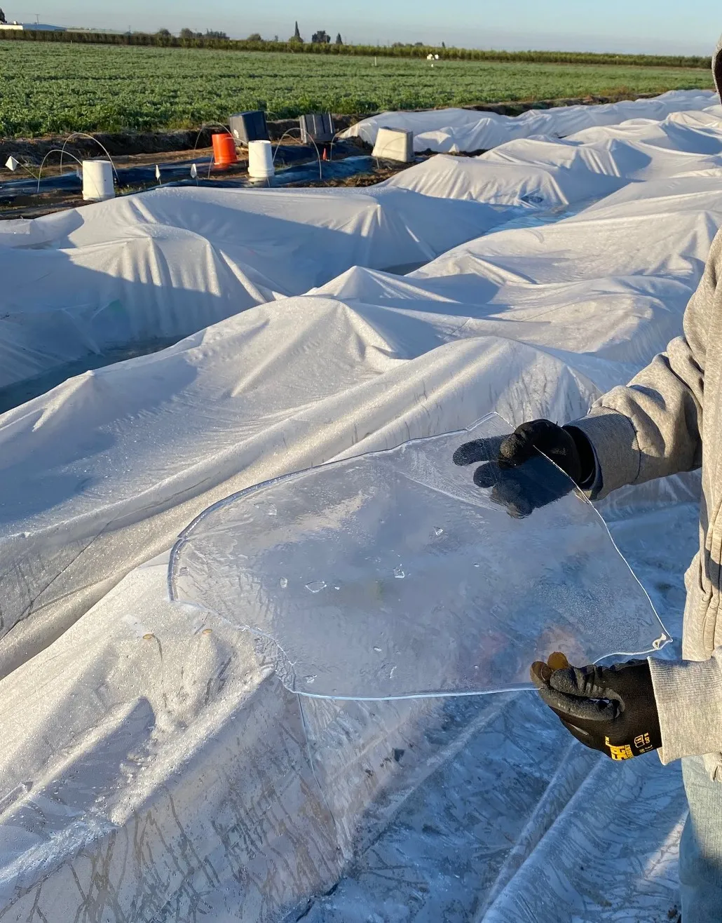 Freezing temperatures in winter