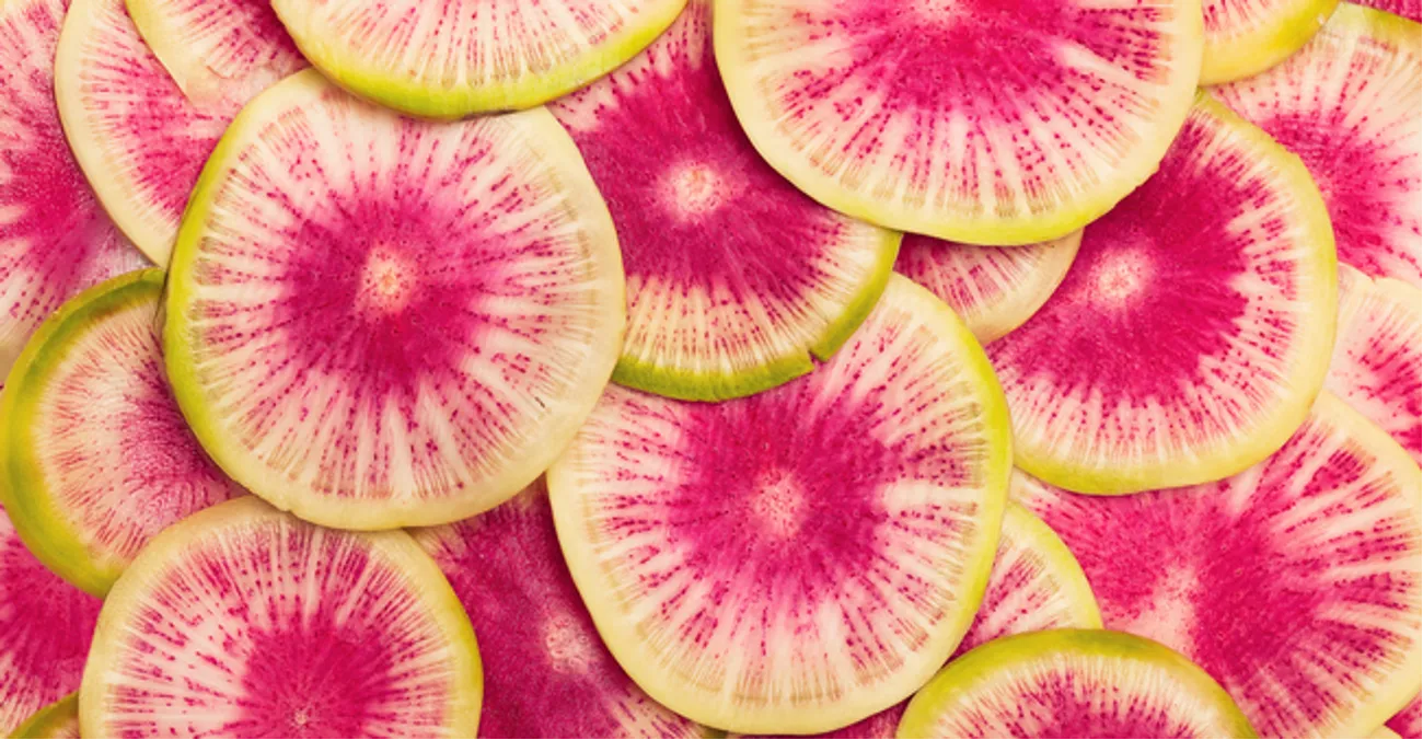 Watermelon radish