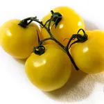 Sweet Gold_schoolphotoproject.com_2021-150