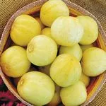 Lemon Cucumber, High Mowing Seeds