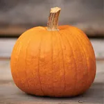New England Pie Pumpkin, Johnny's Selected Seeds