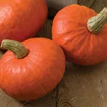 Sunshine Kabocha Winter Squash, Johnny's Selected Seeds