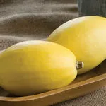 Pinnacle Spaghetti Squash, Johnny's Selected Seeds