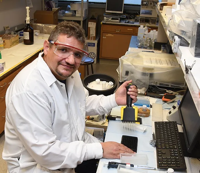 Researcher Christophe Morisseau of the Hammock lab quipped that his role in the international award was that of a "bench warmer." (Photo by Kathy Keatley Garvey)
