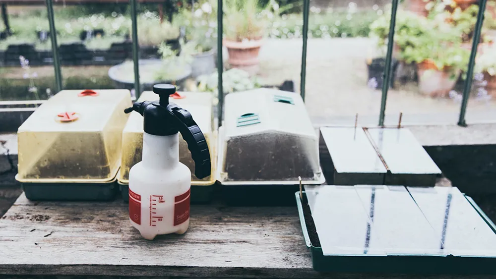 stella-de-smit-Nt974ZIgqgo-unsplash