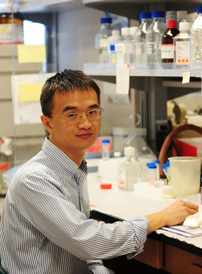 Hammock lab alumnus, Guodong Zhang, associate professor in the University of Massachusetts' Department of Food Science, is the recipient of the Foods 2021 Young Investigator Award. He is shown here in the Hammock lab. (Photo by Kathy Keatley Garvey)