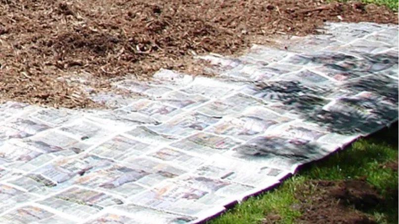 sheet mulch