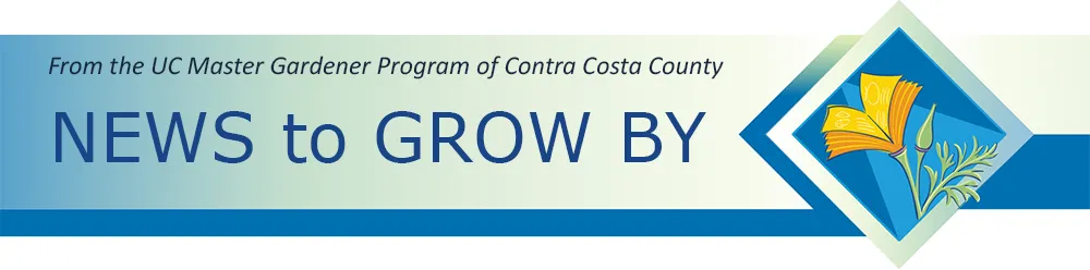 news-to-grow-by-header